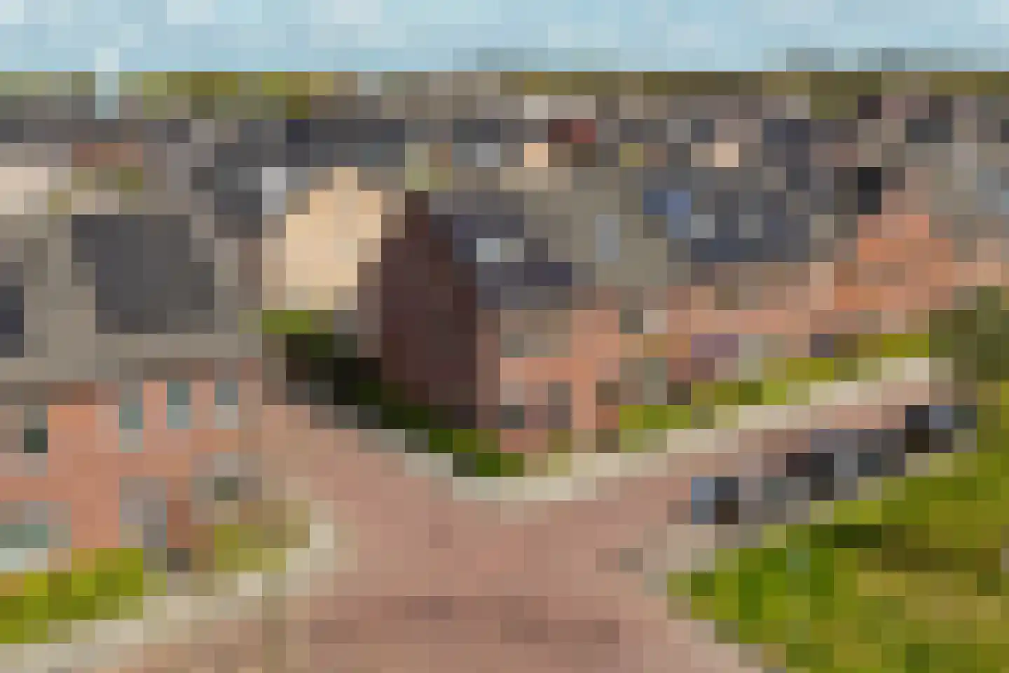 Pomphuislaan 21 Ede thumbnail 46