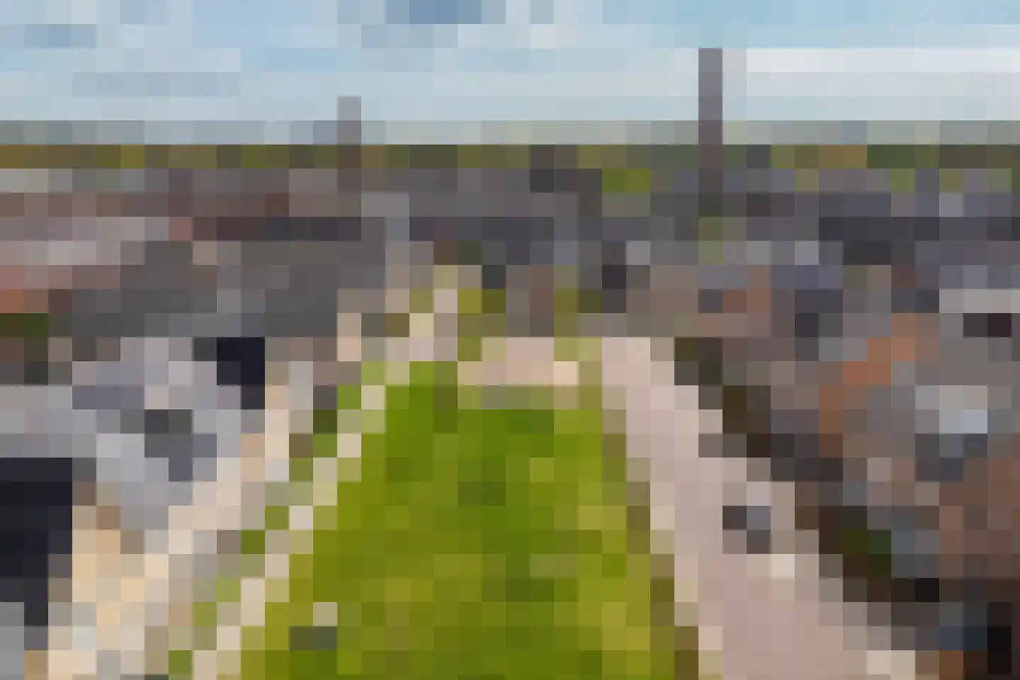Pomphuislaan 21 Ede thumbnail 48