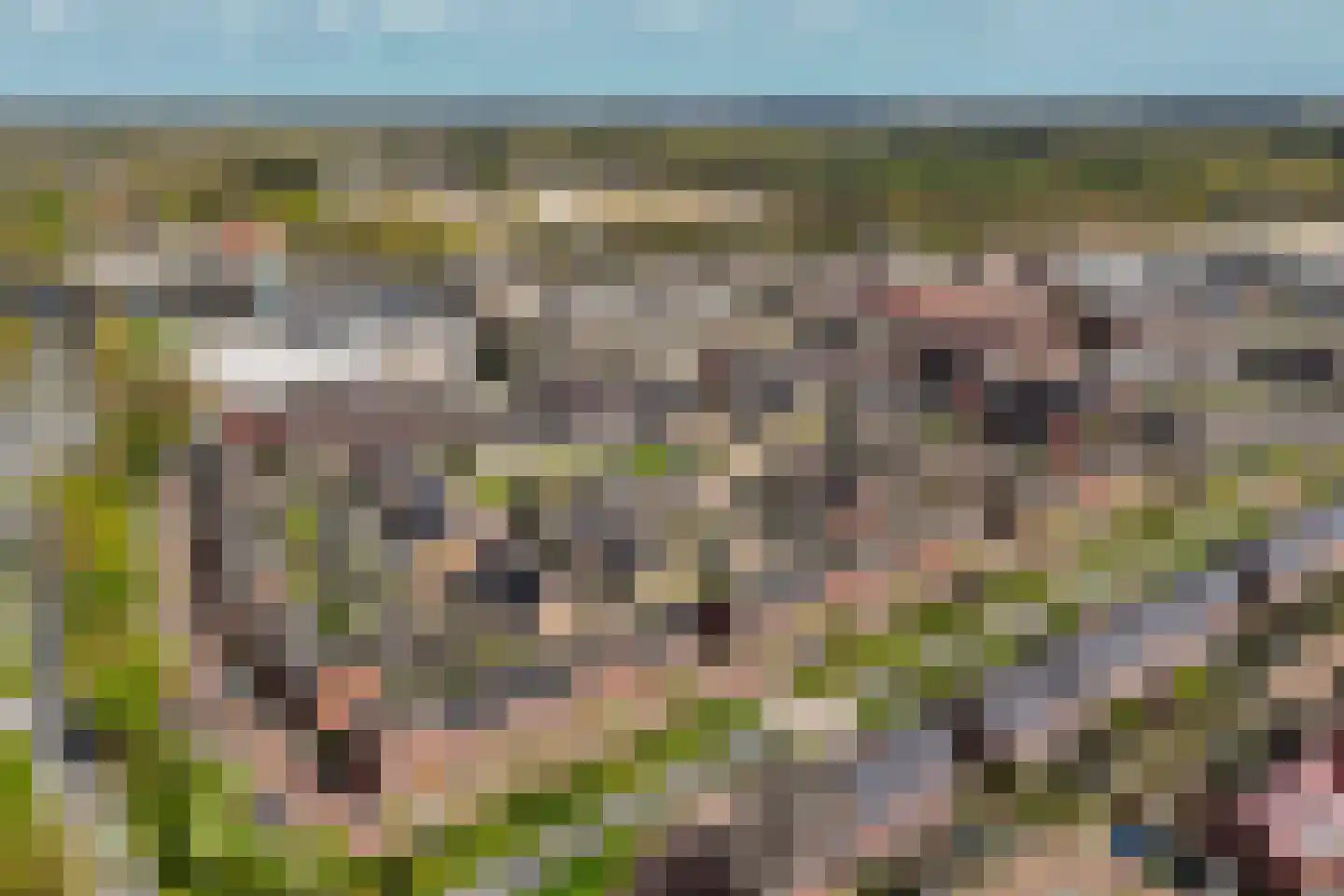 Pomphuislaan 21 Ede thumbnail 50