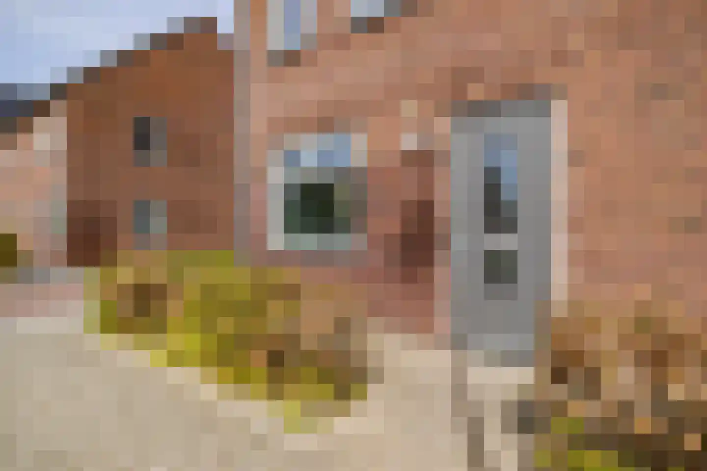 Pomphuislaan 21 Ede thumbnail 8