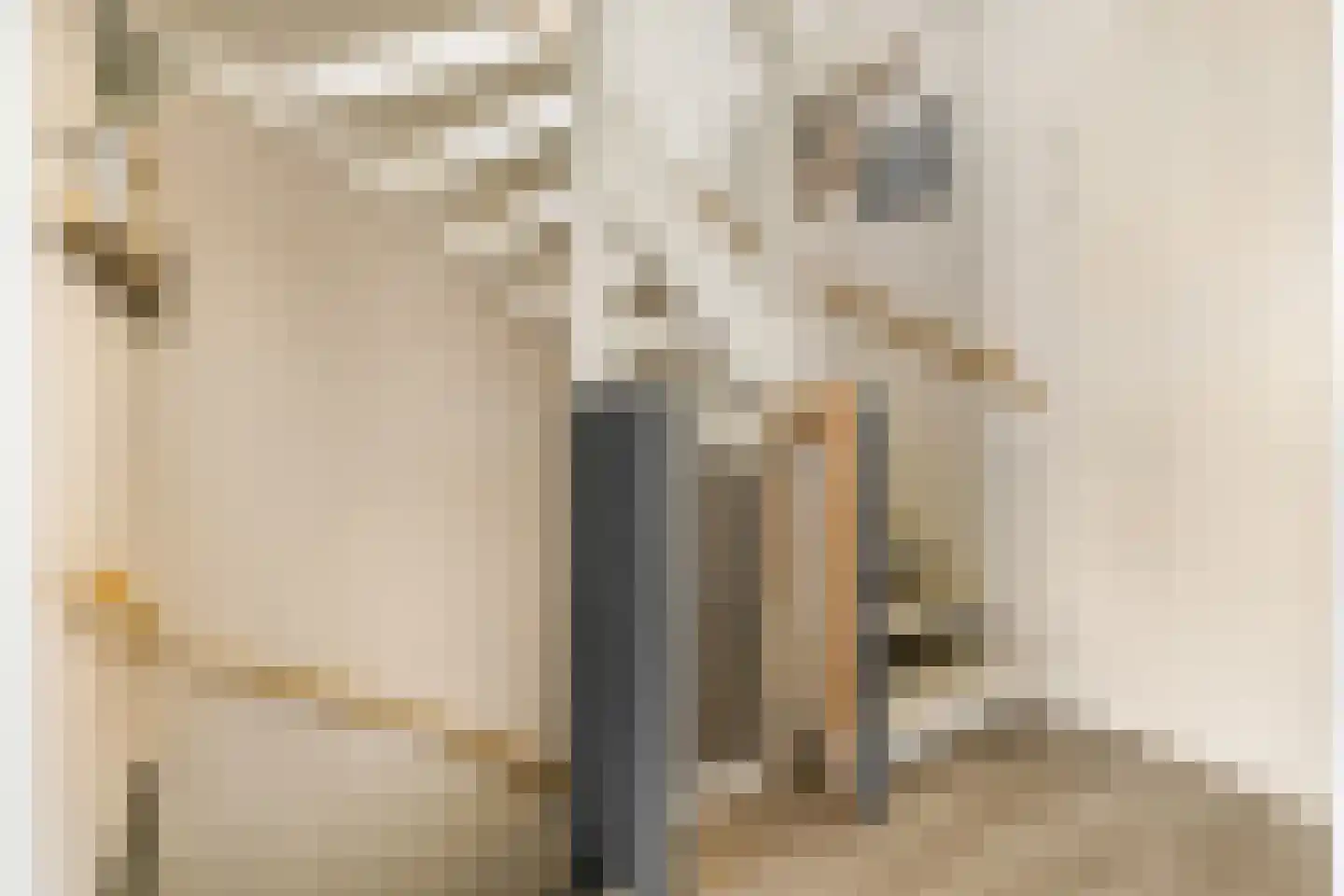 Pomphuislaan 23 Ede thumbnail 26
