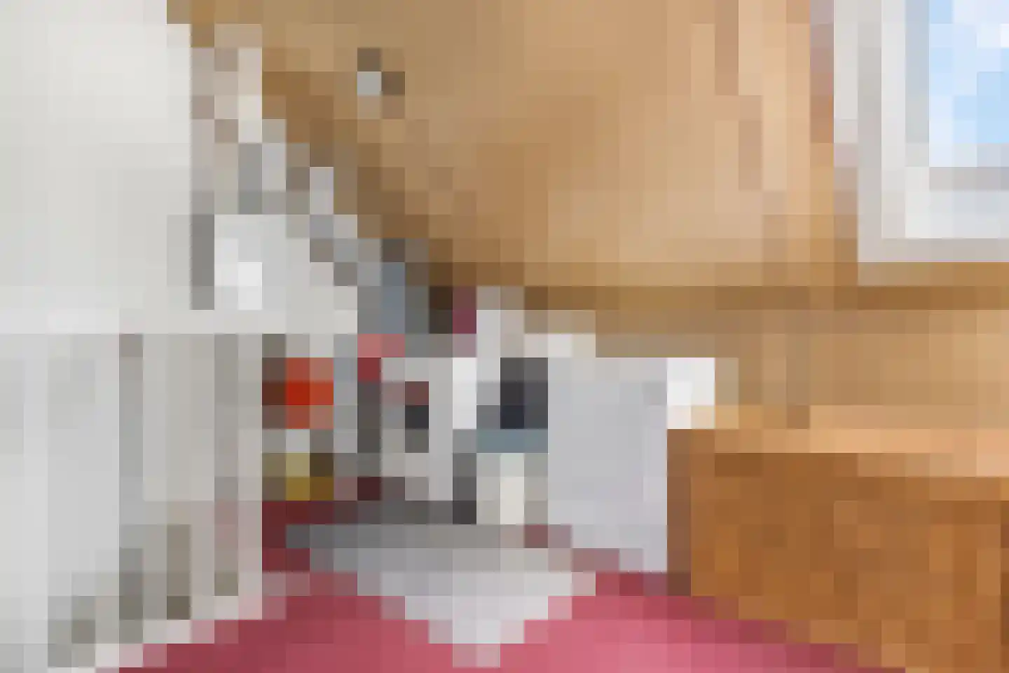 Pomphuislaan 23 Ede thumbnail 29