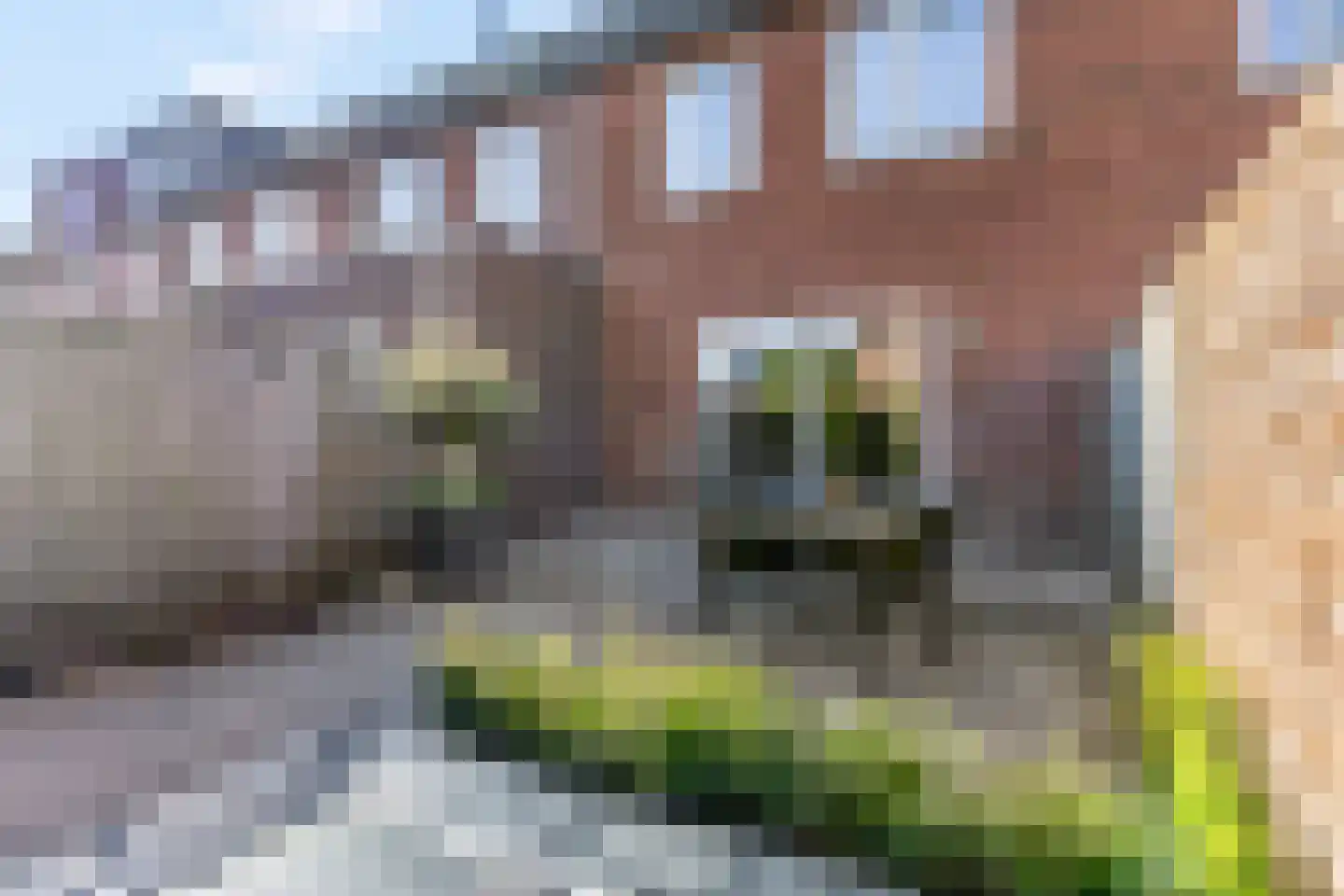 Pomphuislaan 23 Ede thumbnail 32