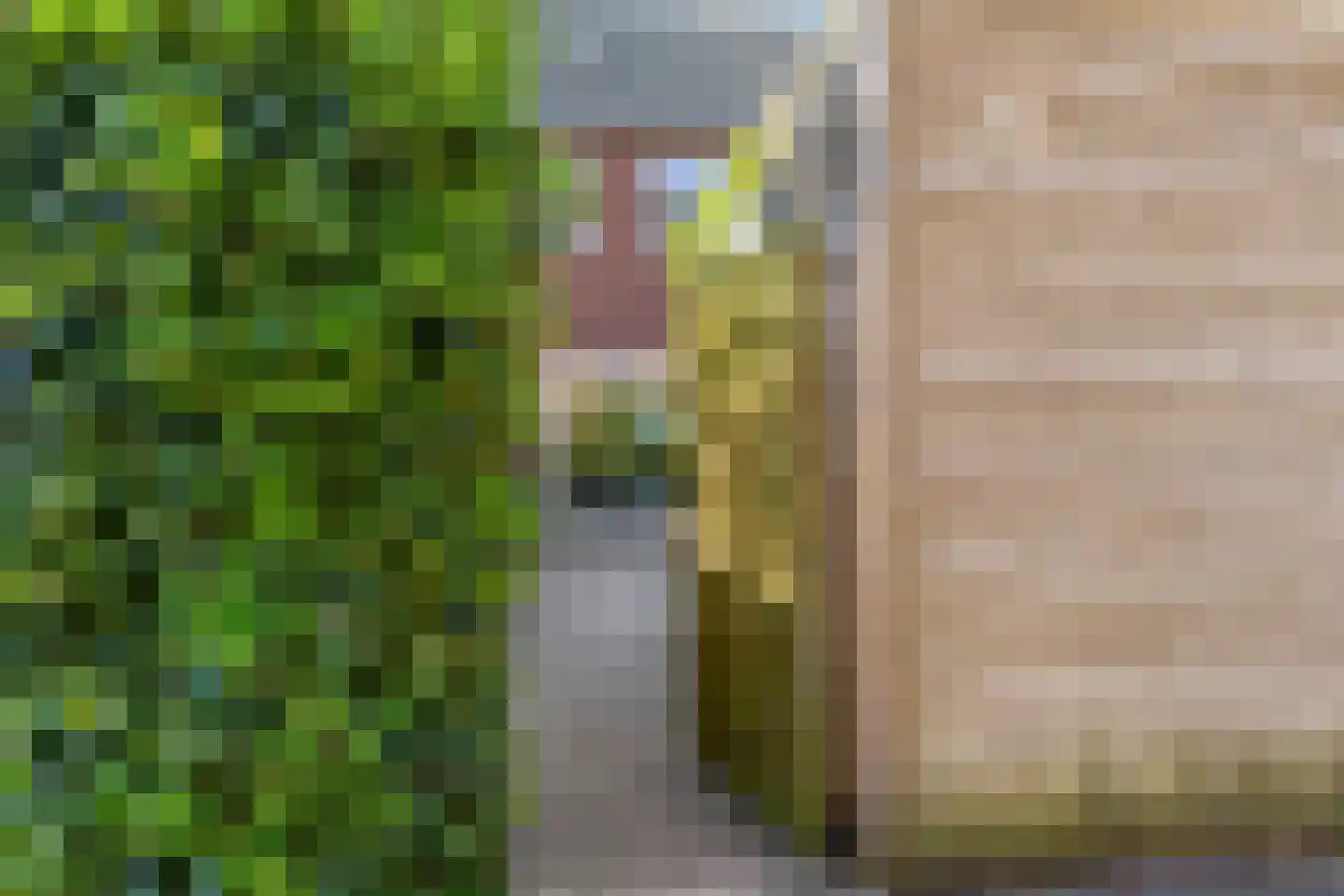 Pomphuislaan 23 Ede thumbnail 36