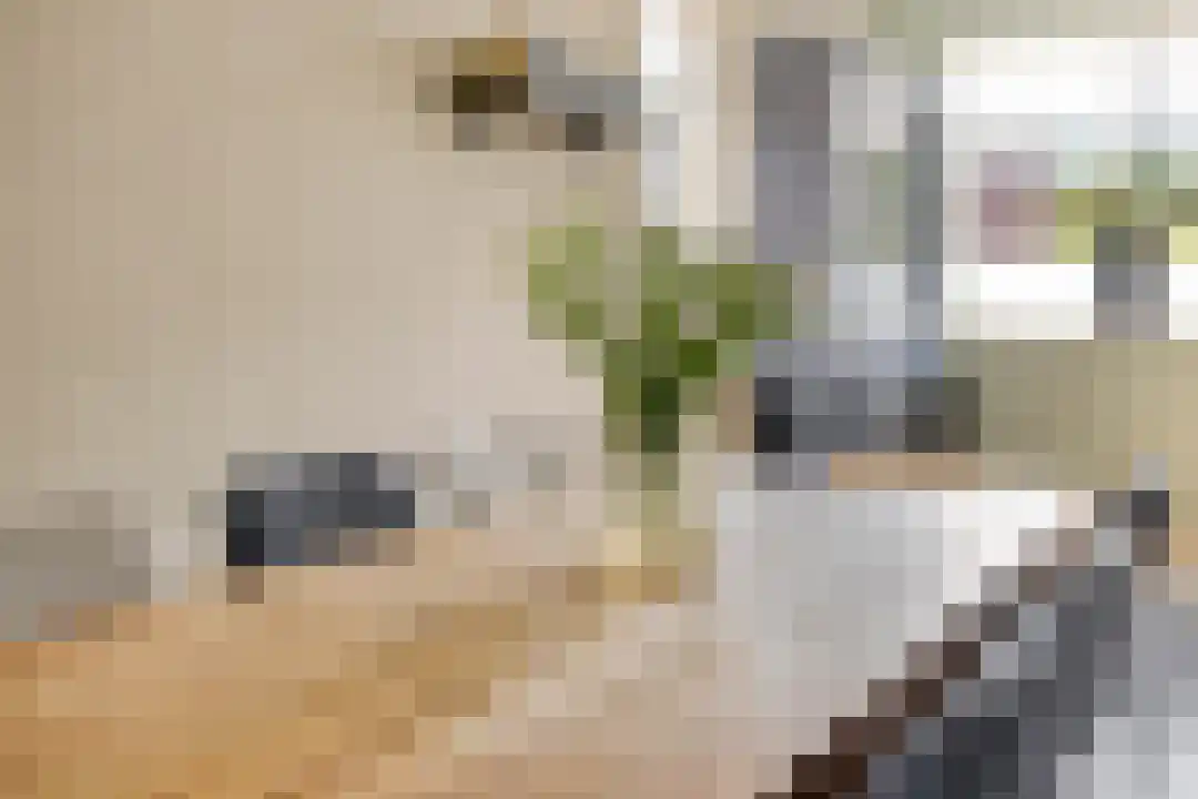 Pomphuislaan 45 Ede thumbnail 14