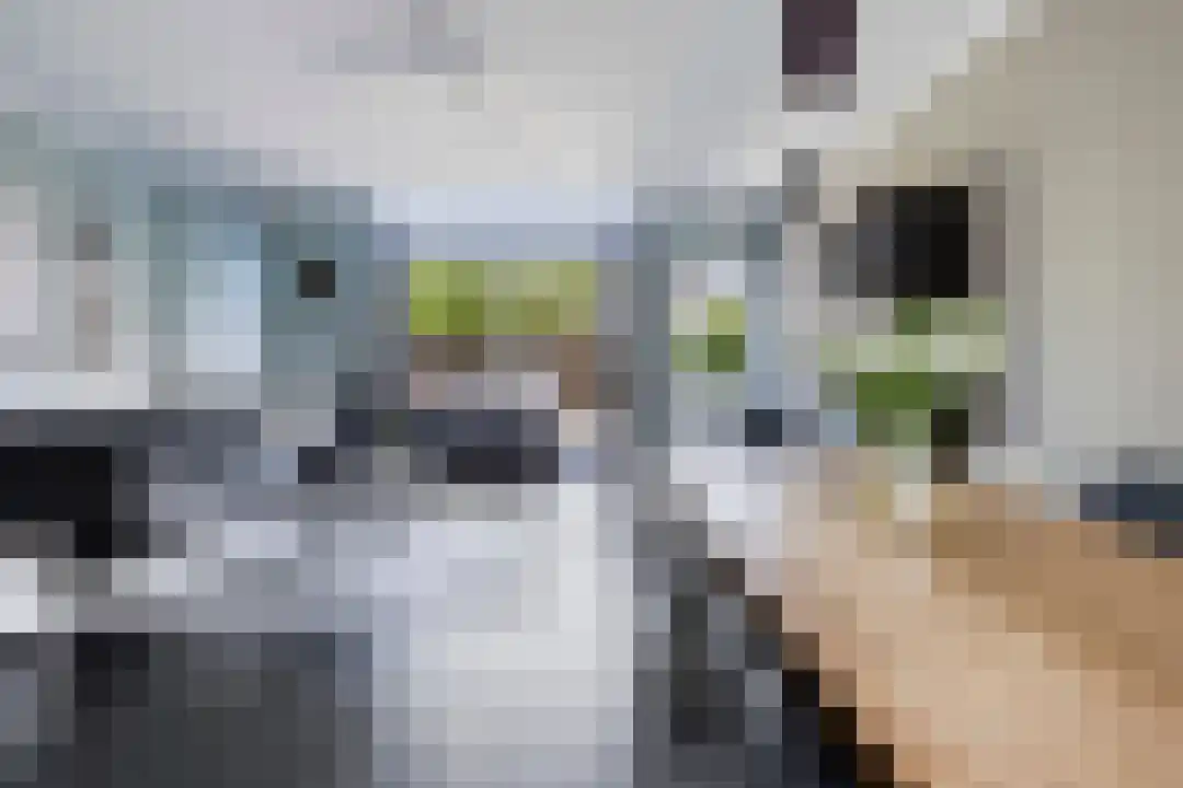 Pomphuislaan 45 Ede thumbnail 15