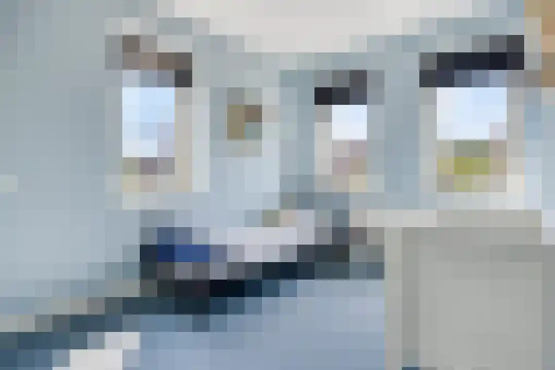 Pomphuislaan 45 Ede thumbnail 19