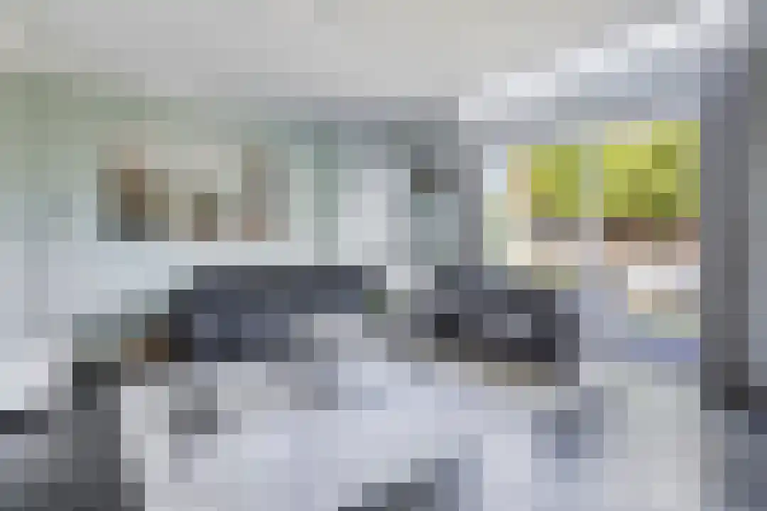 Pomphuislaan 45 Ede thumbnail 7
