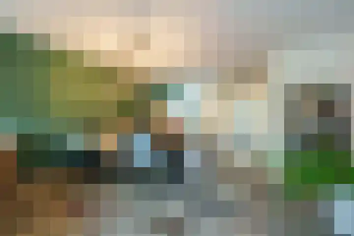 Pompidousingel 23 Ede thumbnail 9