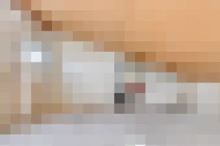 Pompmakerstraat 10 Delfgauw thumbnail 31