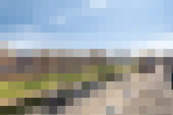 Pompmakerstraat 10 Delfgauw thumbnail 33