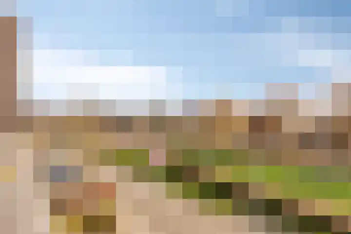 Pompmakerstraat 10 Delfgauw thumbnail 34