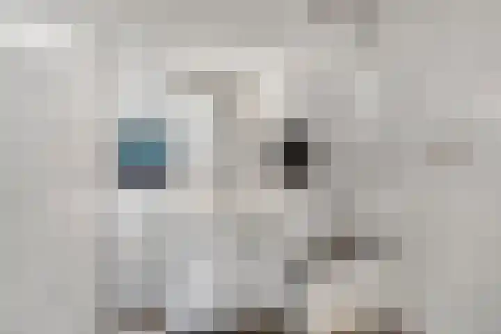 Pompmakkersstege 3 Aldeboarn thumbnail 14