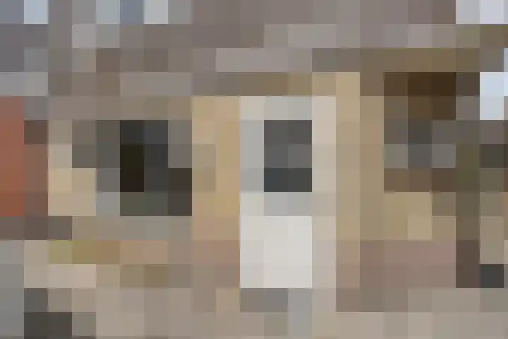 Pompmakkersstege 3 Aldeboarn thumbnail 29
