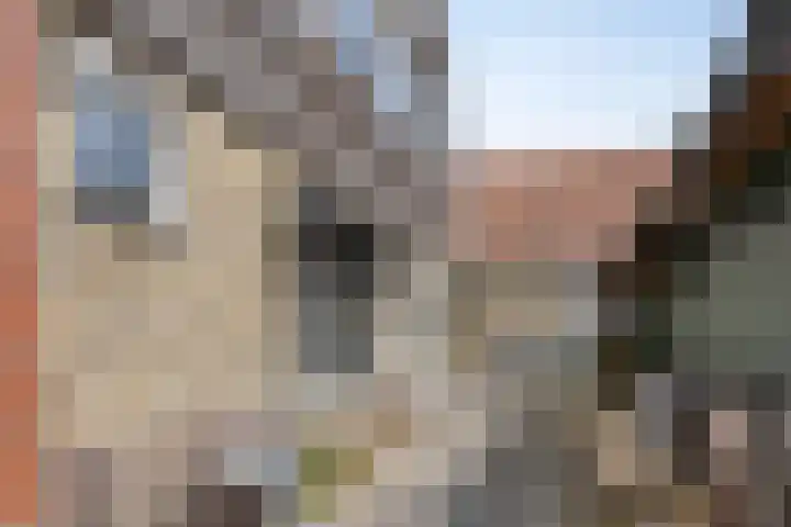 Pompmakkersstege 3 Aldeboarn thumbnail 30