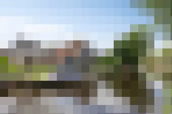Pompmakkersstege 3 Aldeboarn thumbnail 8