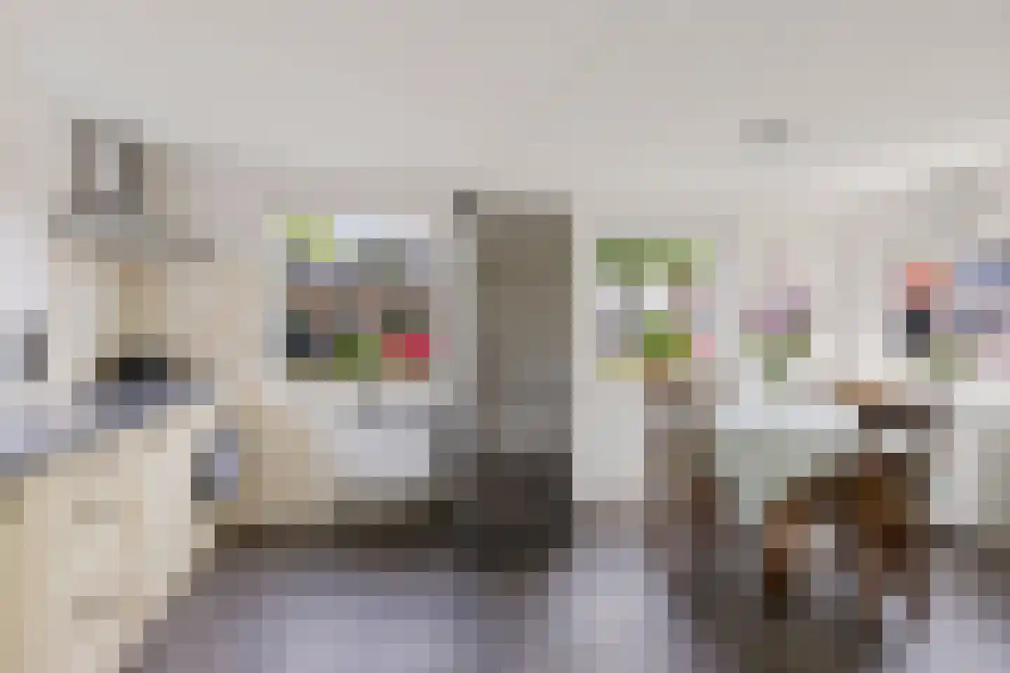 Pompmakkersstege 5 Aldeboarn thumbnail 19