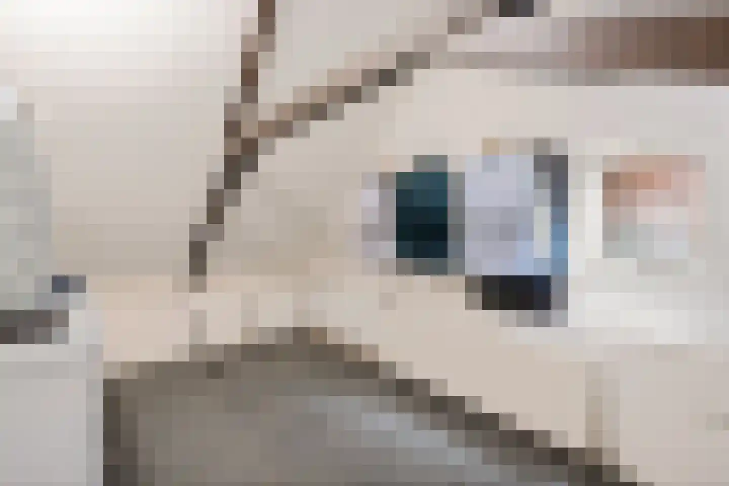 Pompmakkersstege 5 Aldeboarn thumbnail 27