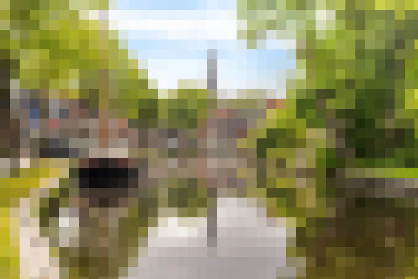 Pompmakkersstege 5 Aldeboarn thumbnail 38