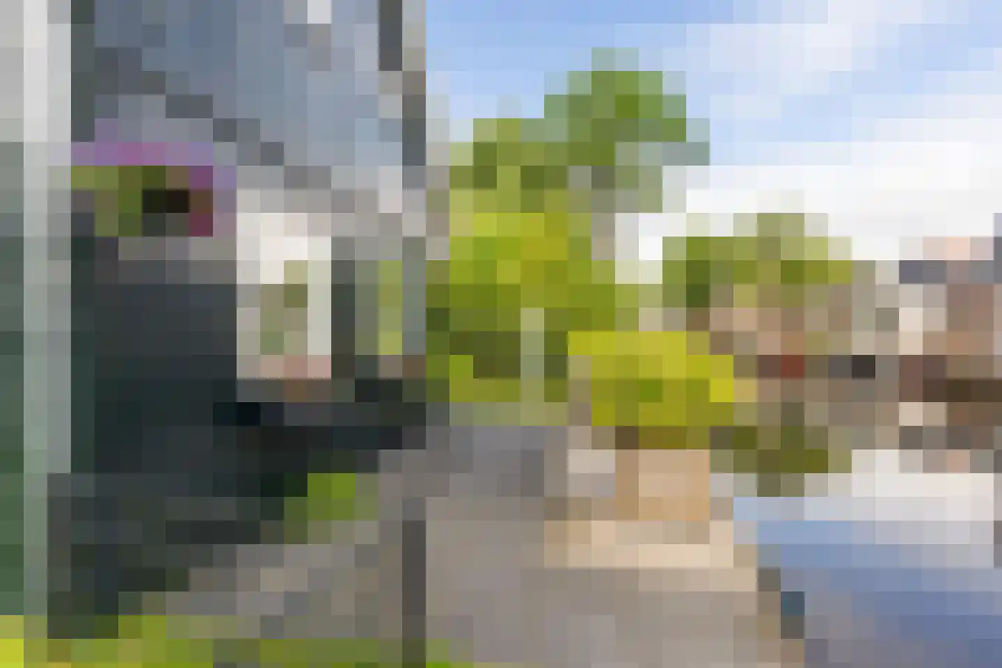 Pompmakkersstege 5 Aldeboarn thumbnail 46