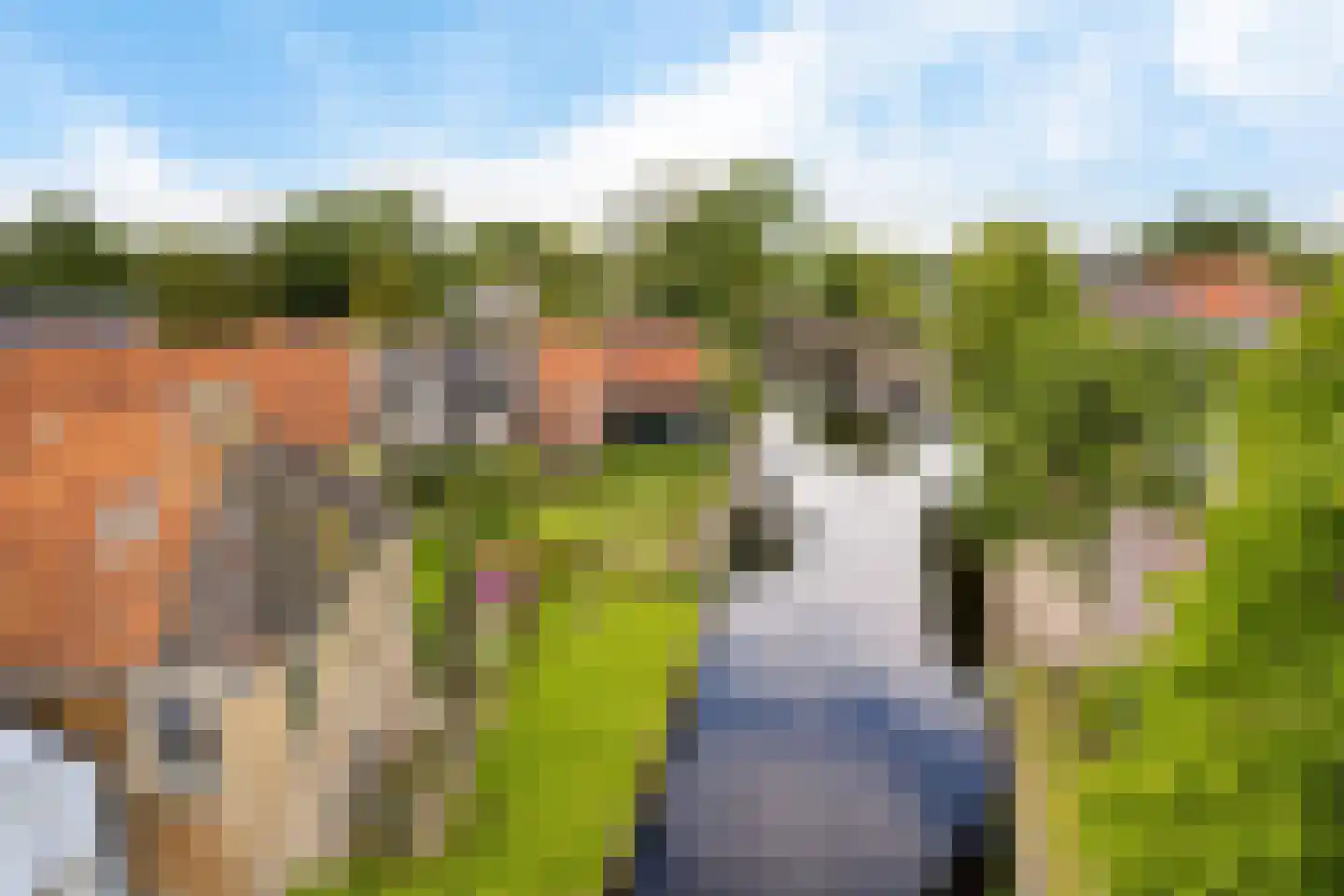 Pompmakkersstege 5 Aldeboarn thumbnail 47