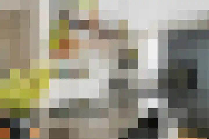 Pompmolen 28 Veenendaal thumbnail 11