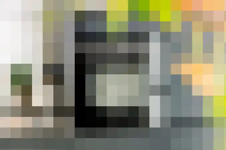 Pompmolen 28 Veenendaal thumbnail 12