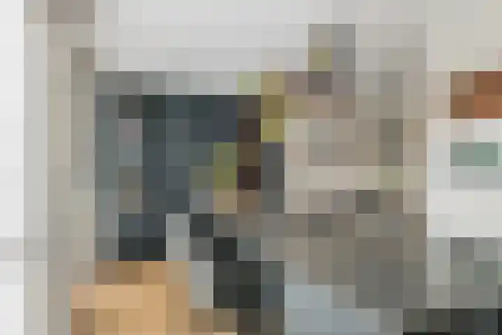 Pompmolen 28 Veenendaal thumbnail 13