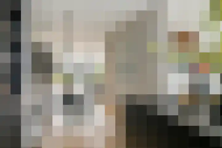 Pompmolen 28 Veenendaal thumbnail 14