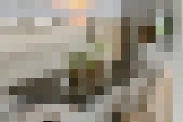 Pompmolen 28 Veenendaal thumbnail 15