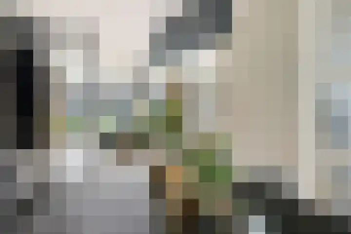 Pompmolen 28 Veenendaal thumbnail 16