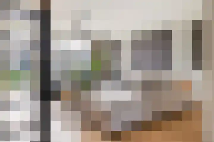 Pompmolen 28 Veenendaal thumbnail 17
