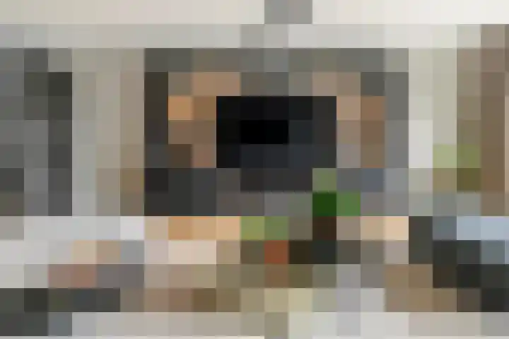 Pompmolen 28 Veenendaal thumbnail 18