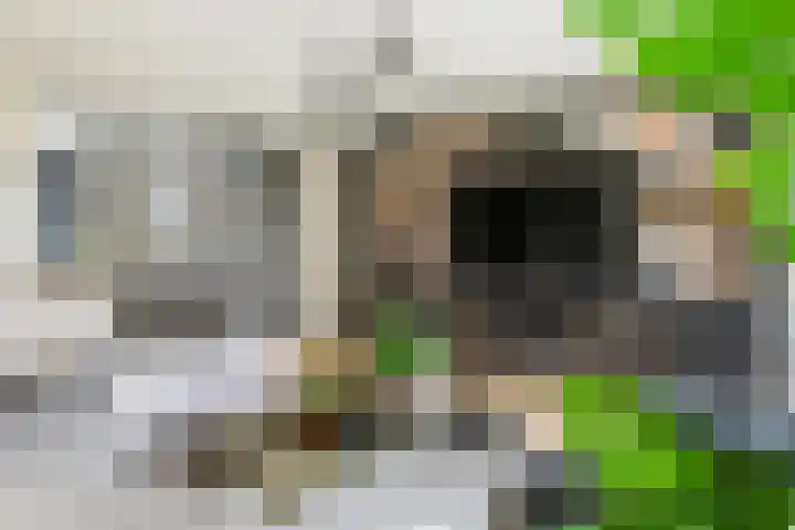 Pompmolen 28 Veenendaal thumbnail 19