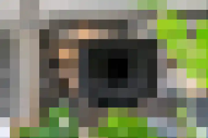 Pompmolen 28 Veenendaal thumbnail 20