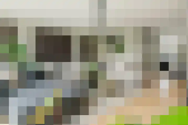 Pompmolen 28 Veenendaal thumbnail 21