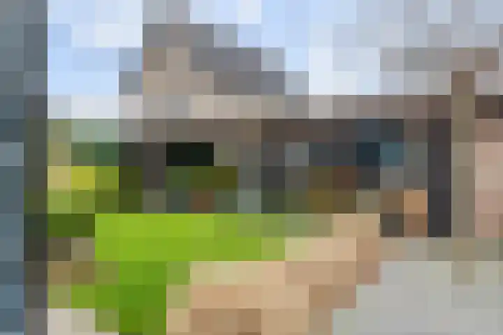 Pompmolen 28 Veenendaal thumbnail 22