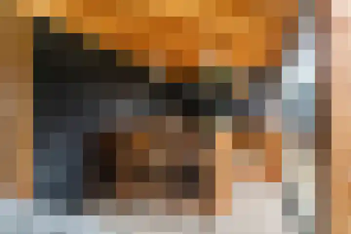 Pompmolen 28 Veenendaal thumbnail 24