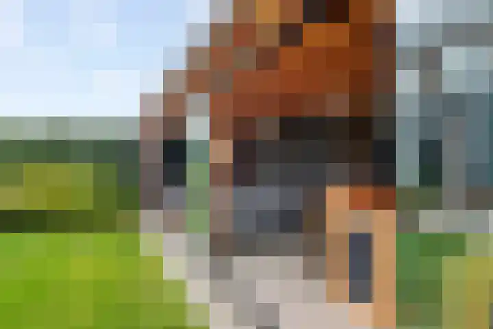 Pompmolen 28 Veenendaal thumbnail 26