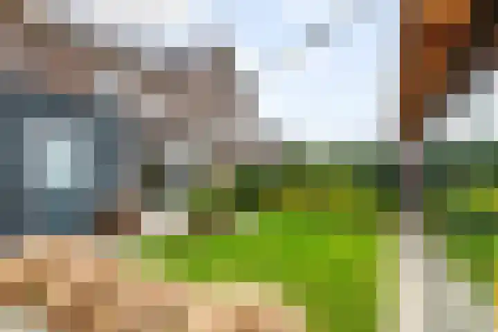 Pompmolen 28 Veenendaal thumbnail 27