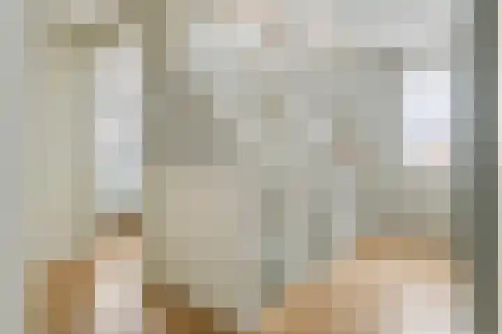 Pompmolen 28 Veenendaal thumbnail 29
