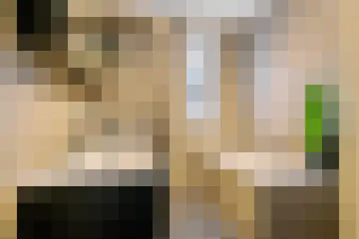 Pompmolen 28 Veenendaal thumbnail 33