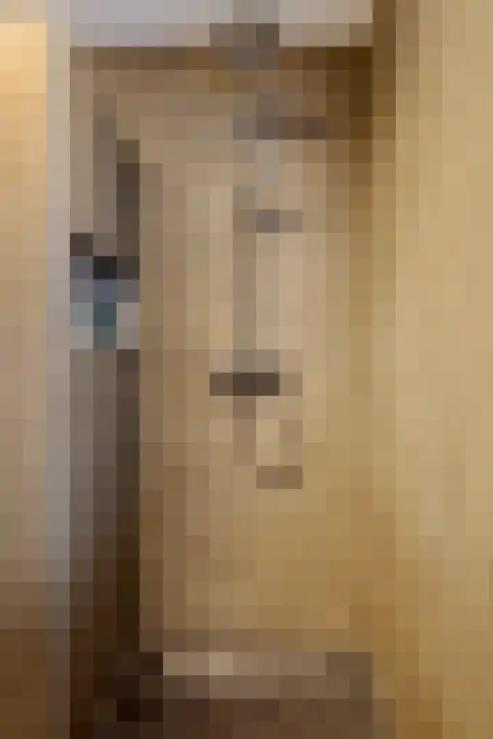 Pompmolen 28 Veenendaal thumbnail 36