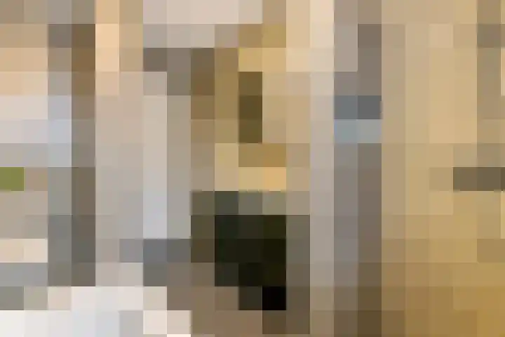 Pompmolen 28 Veenendaal thumbnail 37