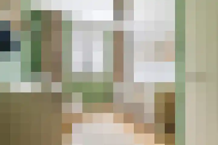 Pompmolen 28 Veenendaal thumbnail 38