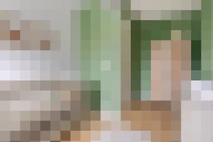 Pompmolen 28 Veenendaal thumbnail 39