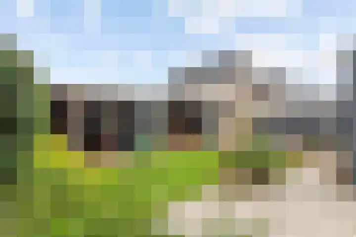 Pompmolen 28 Veenendaal thumbnail 4
