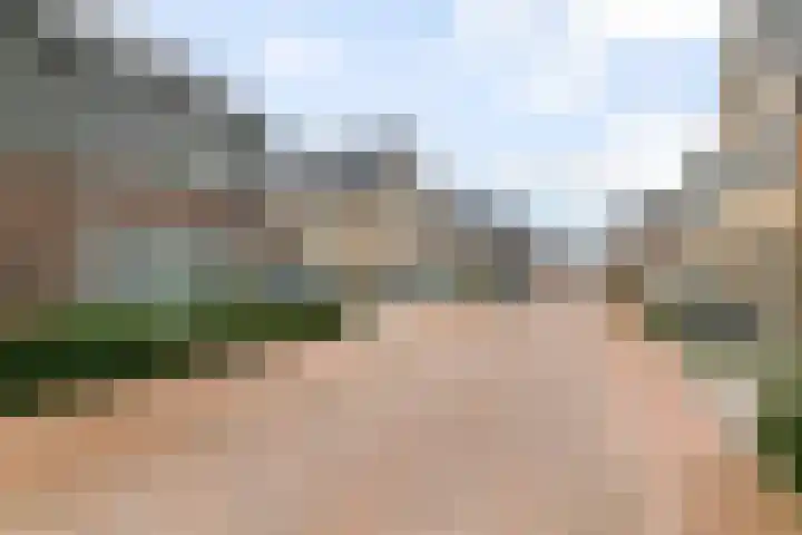 Pompmolen 28 Veenendaal thumbnail 44