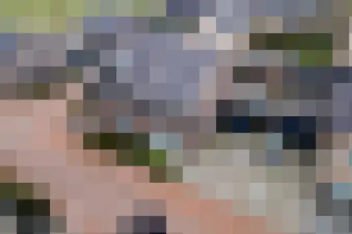 Pompmolen 28 Veenendaal thumbnail 45