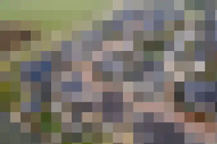 Pompmolen 28 Veenendaal thumbnail 46
